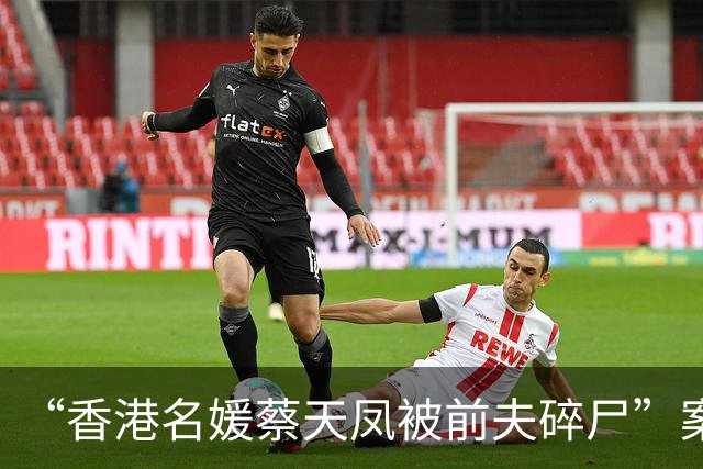 “香港名媛蔡天凤被前夫碎尸”案细节：夫妇俩澳门欠下赌债，前夫父亲挑选一价格较贵的意大利制绞肉机，并称“能把肉绞得更碎、动力更强”